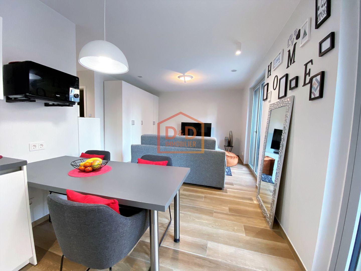 Appartement à Luxembourg-Gasperich, 36 m², 1 salle de bain, 1 500 €/mois
