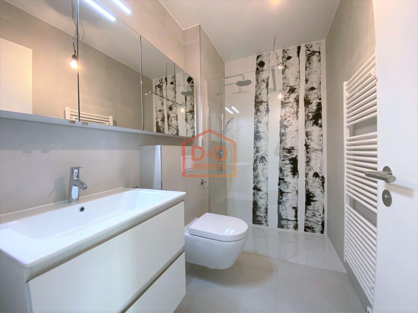 Appartement à Luxembourg-Gasperich, 36 m², 1 salle de bain, 1 500 €/mois
